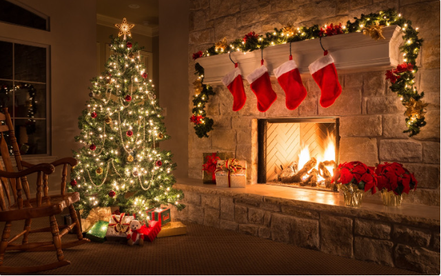 Many people carelessly plant Christmas trees in their homes without knowing the consequences